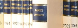 Family Law - large